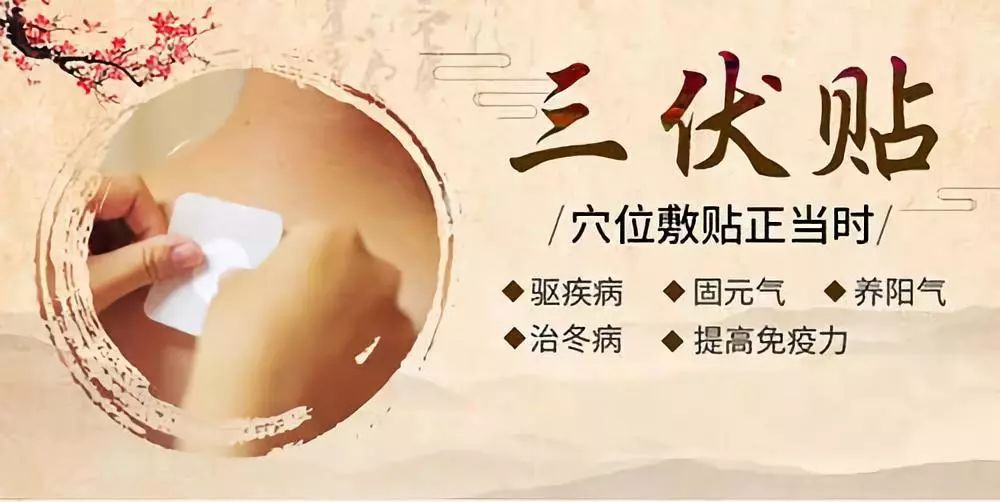 關(guān)于三伏貼，你了解多少呢？