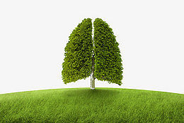 2個(gè)月寶寶可以做霧化嗎？