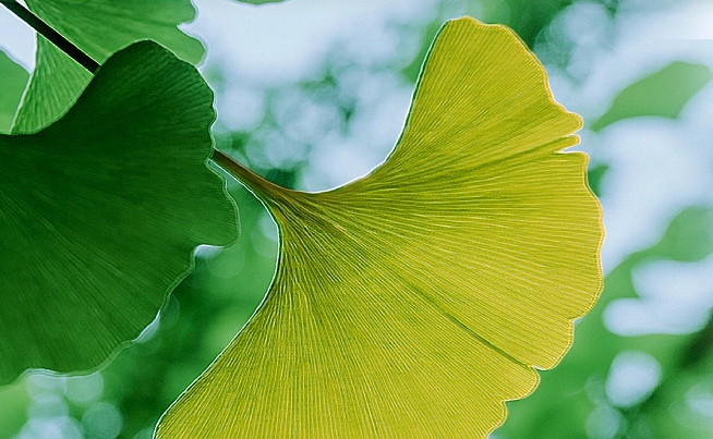 立秋后怎么養(yǎng)生？
